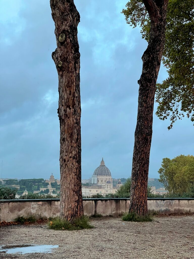 Blick von einer Aussichtsplattform zwischen zwei Bäumen durch auf den Petersdom und die Dächer von Rom. Abenddämmerung, der Himmel ist wolkenverhangen.