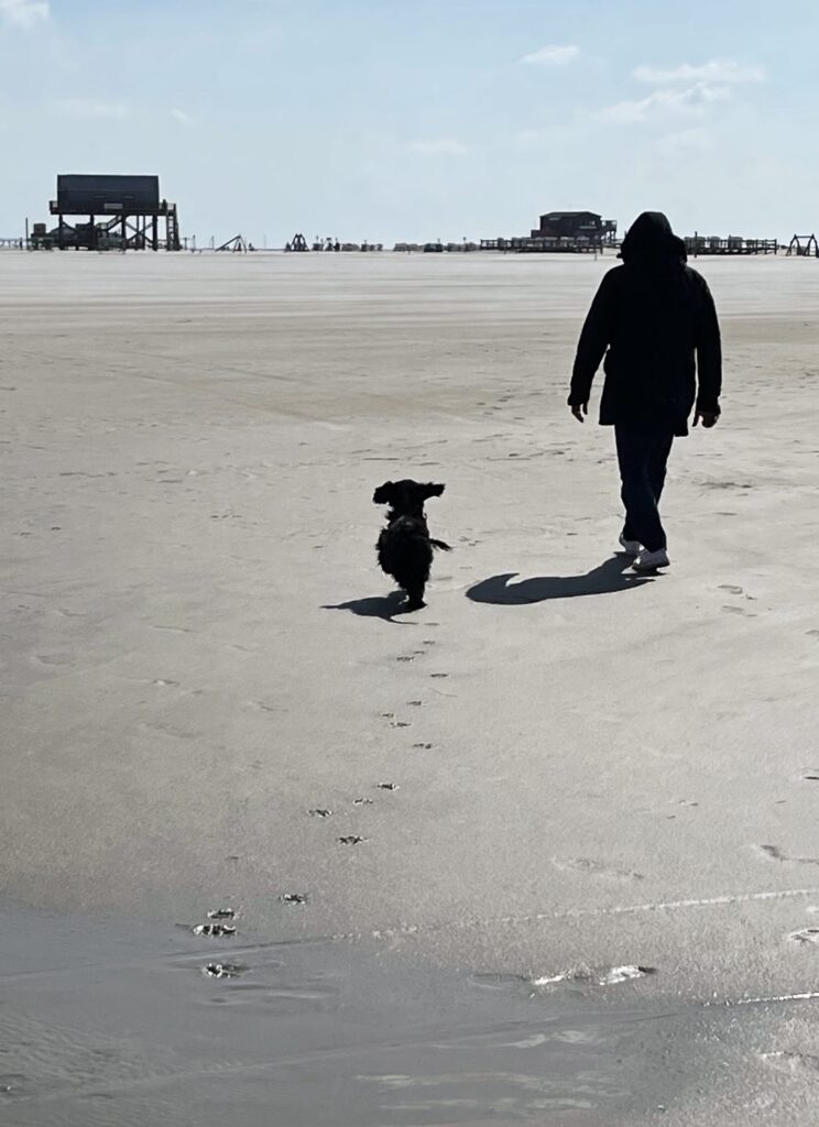 Man sieht einen Mann mit dicker Jacke und Kapuze auf und daneben einen Cockerspaniel mit fliegenden Ohren von hinten am Strand spazieren gehen. Im Hintergrund Pfahlbauten.