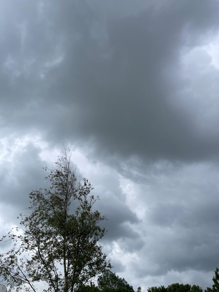 Ein Bild von dunklen Regenwolken über Baumwipfeln.