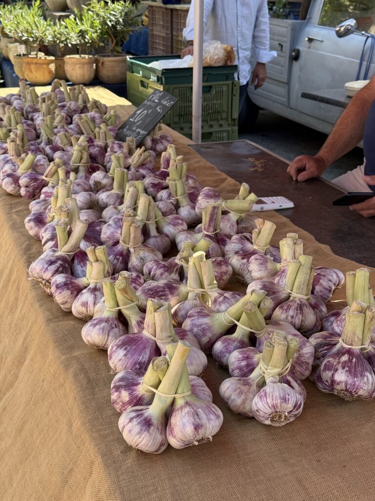 Ganz viel violetter Knoblauch auf einem französischen Markt.