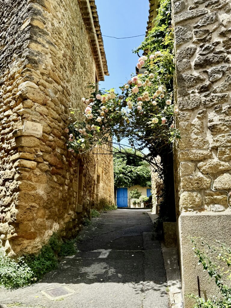 Foto einer Seitenstraße in Lourmarin. Sandsteinhäuser, Rosenranken, im Hintergrund eine blaue Tür.